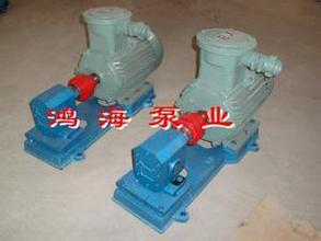 DHB系列點火油泵/增壓燃油泵
